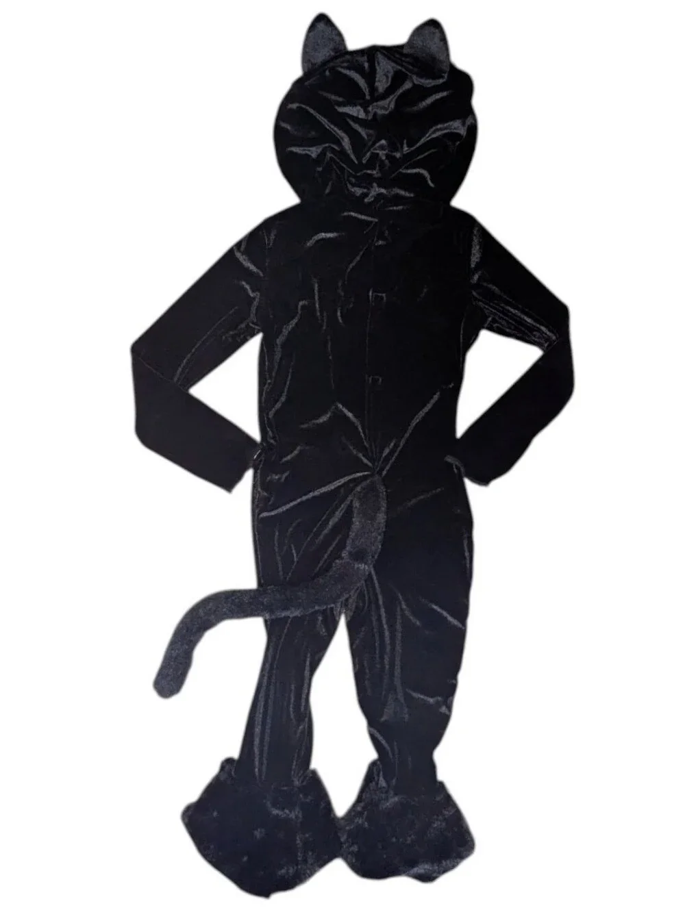 Spirit car costume